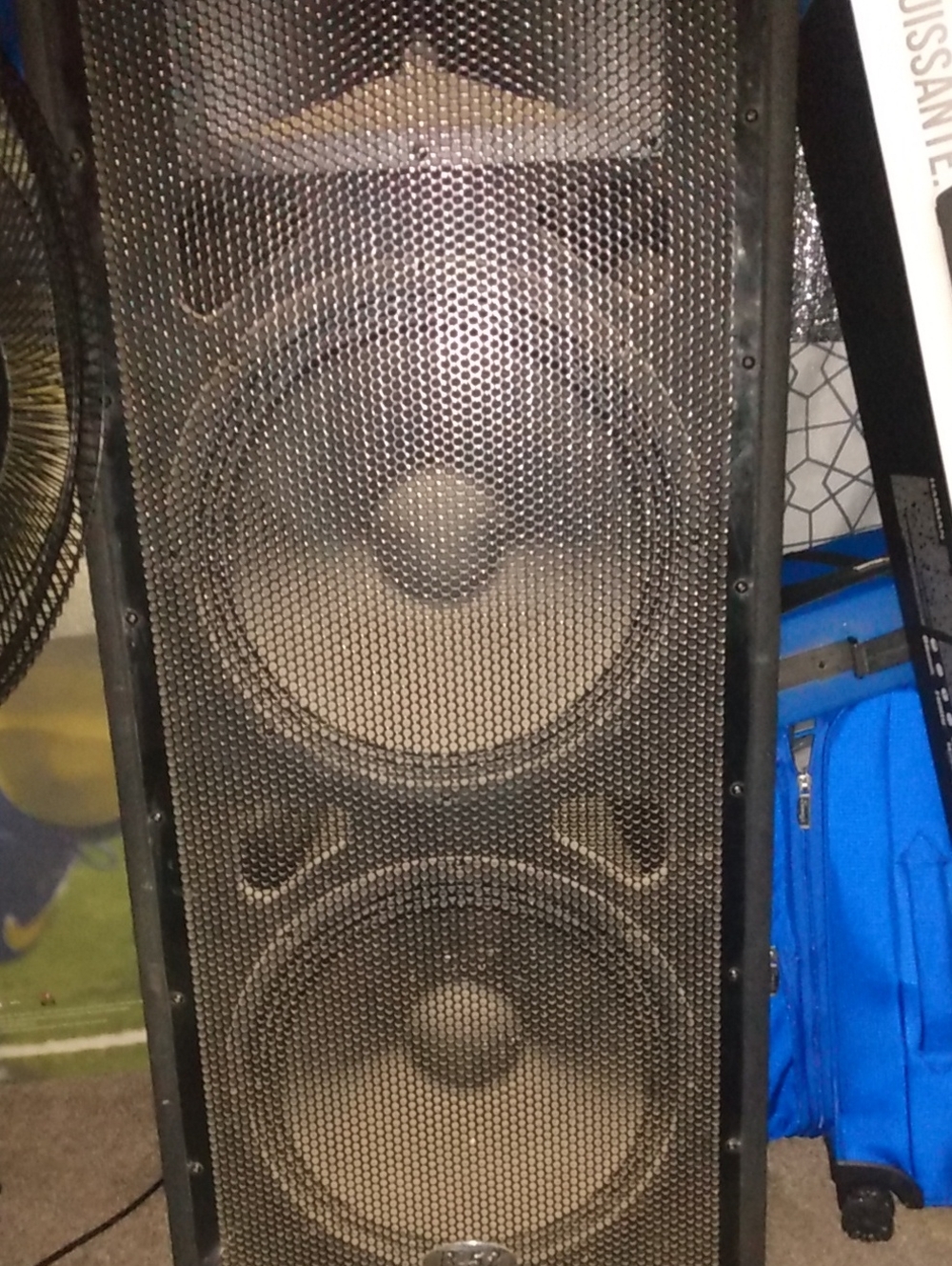 Black Dual-Woofer Portable Floor Speaker - Powerful Sound